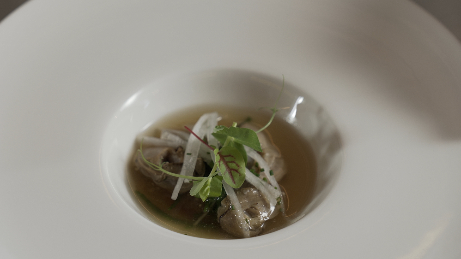 Belon oysters seared with glasswort, ham broth and tapioca marinated with Bonini condiment Affinato